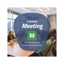 Meeting M